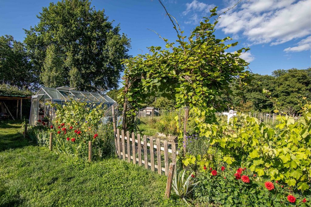 Chambre d'hôtes - Les Lauriers de Longverts, Boussac-Bourg - photo 8