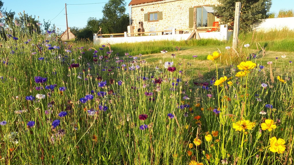 Gîte le Monticule, Tardes - photo 3