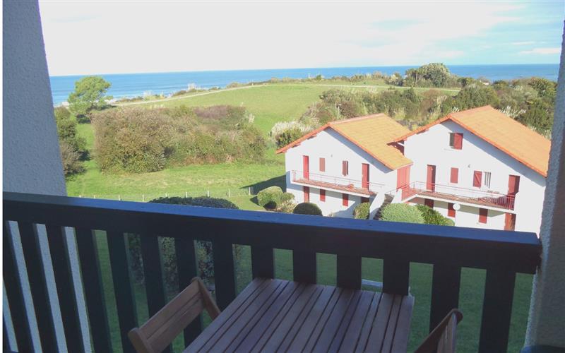 Agence Acotztarra - 221