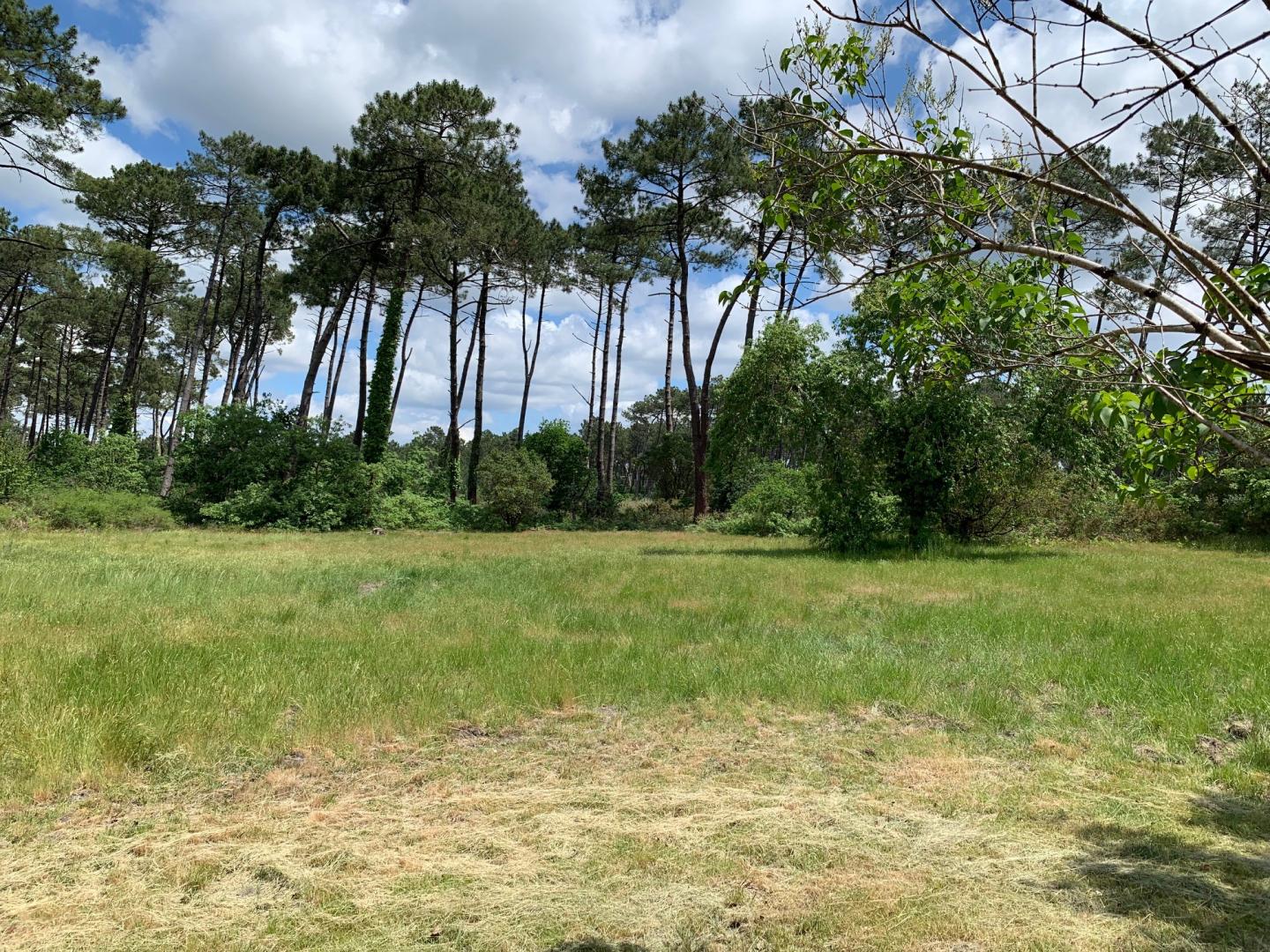 L'Airial du Résinier, Le Teich - photo 11