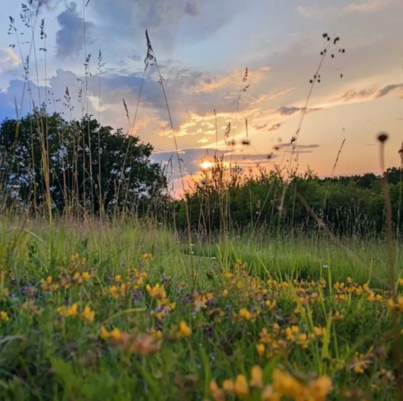 La Vallée du Doro, Saint-Martin-de-Villeréal - photo 6