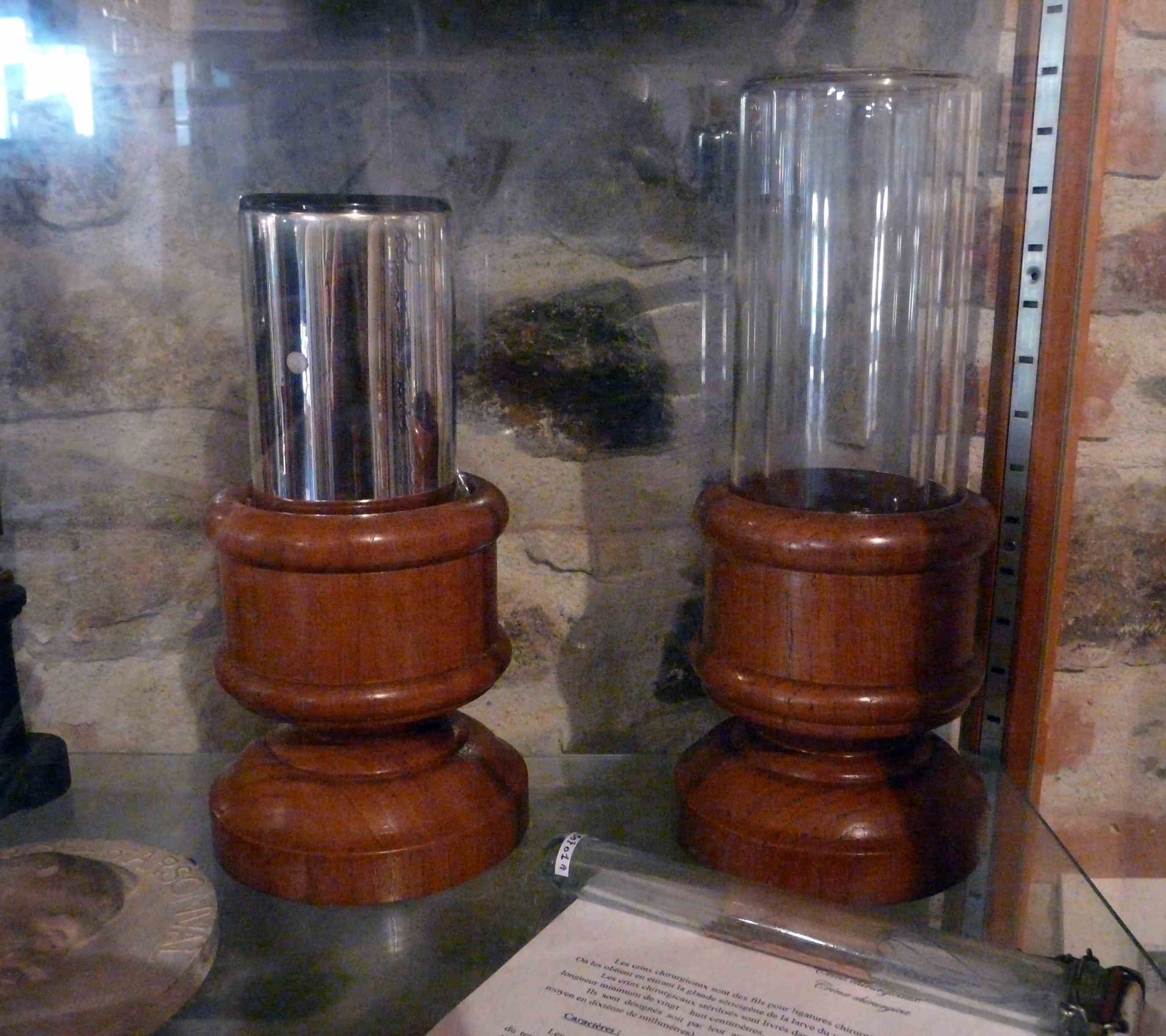 Les jeudis de la science, La Porcherie - photo 2