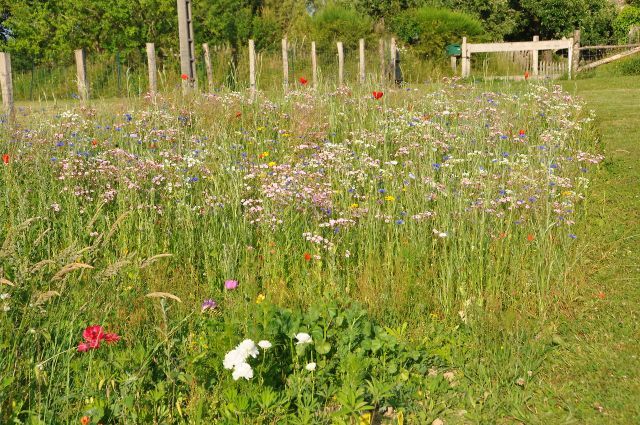 Meublé de tourisme" La Charbonnée" 3* - photo 4