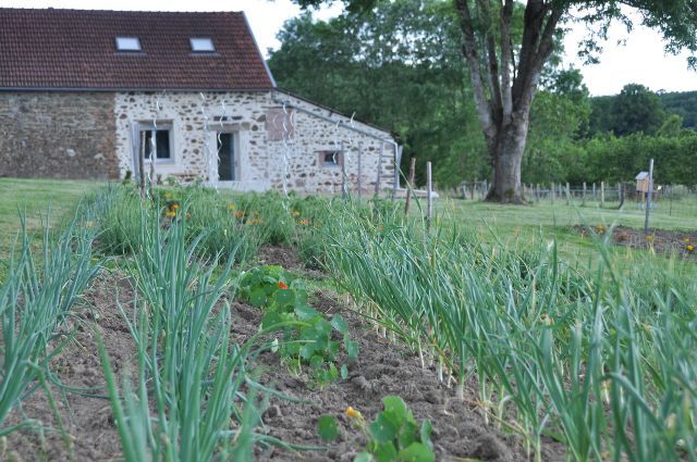 Meublé de tourisme" La Charbonnée" 3*, Neuvic-Entier - photo 9