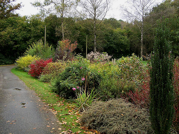 Meublé de tourisme" Le Grand Valeix" - photo 3