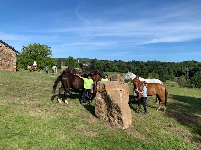 Aire de bivouac de Saint-Méard, Saint-Méard - photo 6