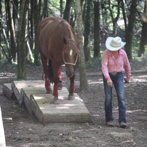 NAHANI RANCH Mountain Trail - photo 4