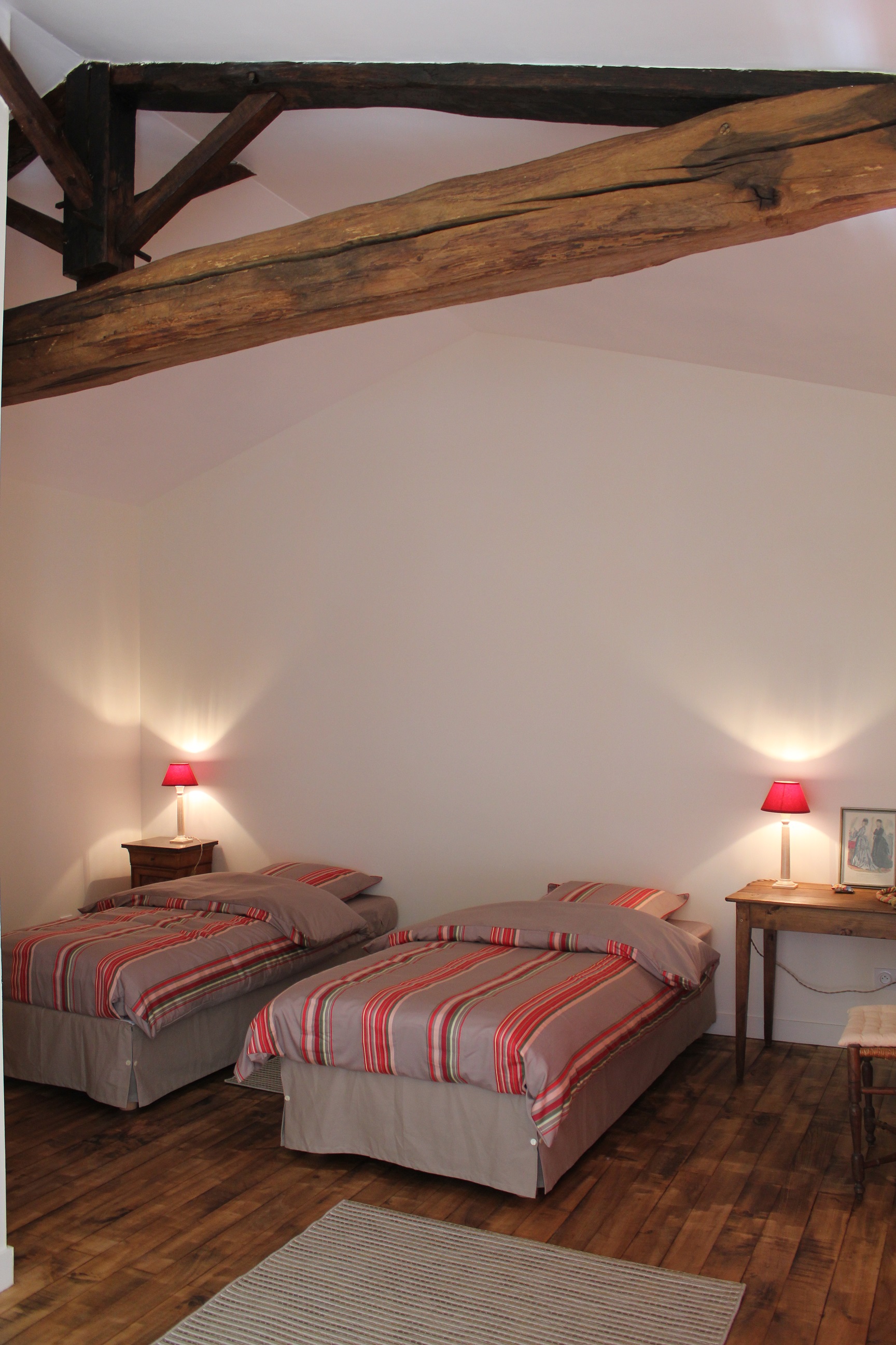 Gîte de la Maison Neuve (G 208), Échiré - photo 6