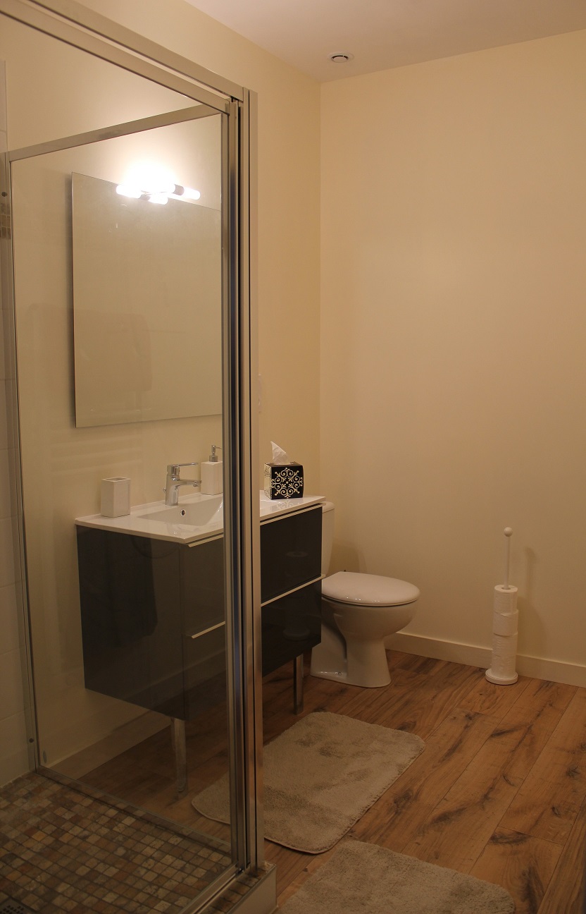 Gîte de la Maison Neuve (G 208), Échiré - photo 2