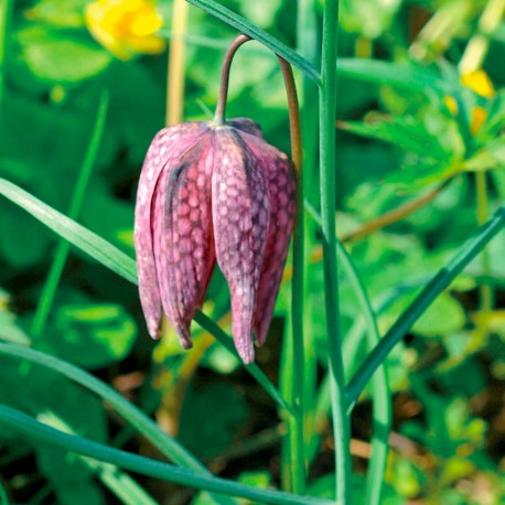 Le circuit des deux rivières - Mauzé-Thouarsais