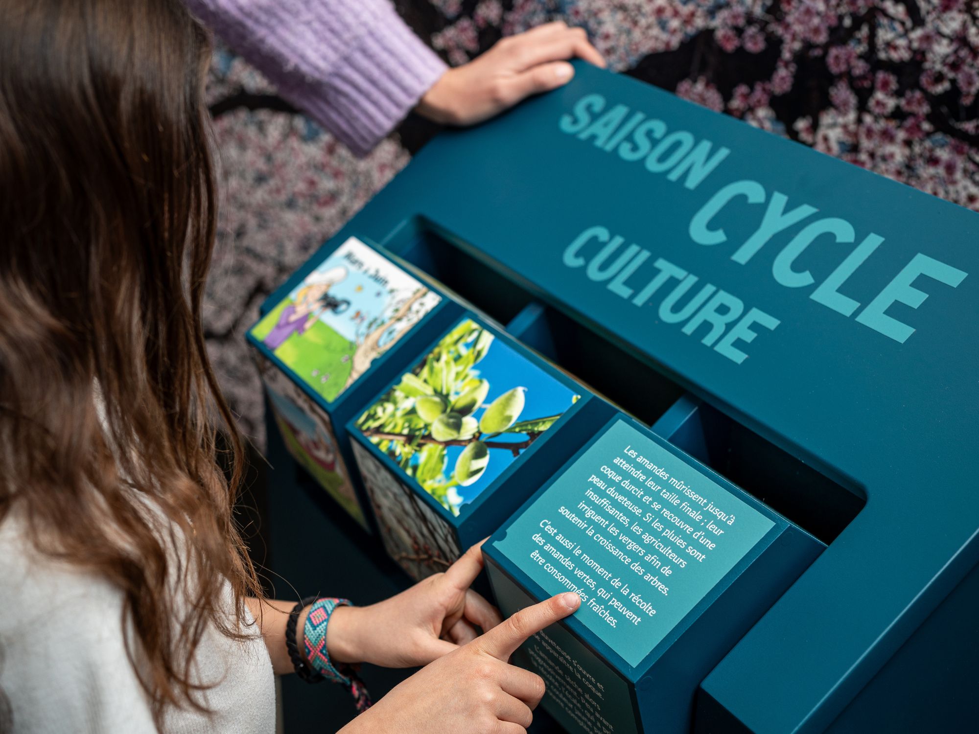 Musée de l’Amande et du Macaron, Montmorillon - photo 4