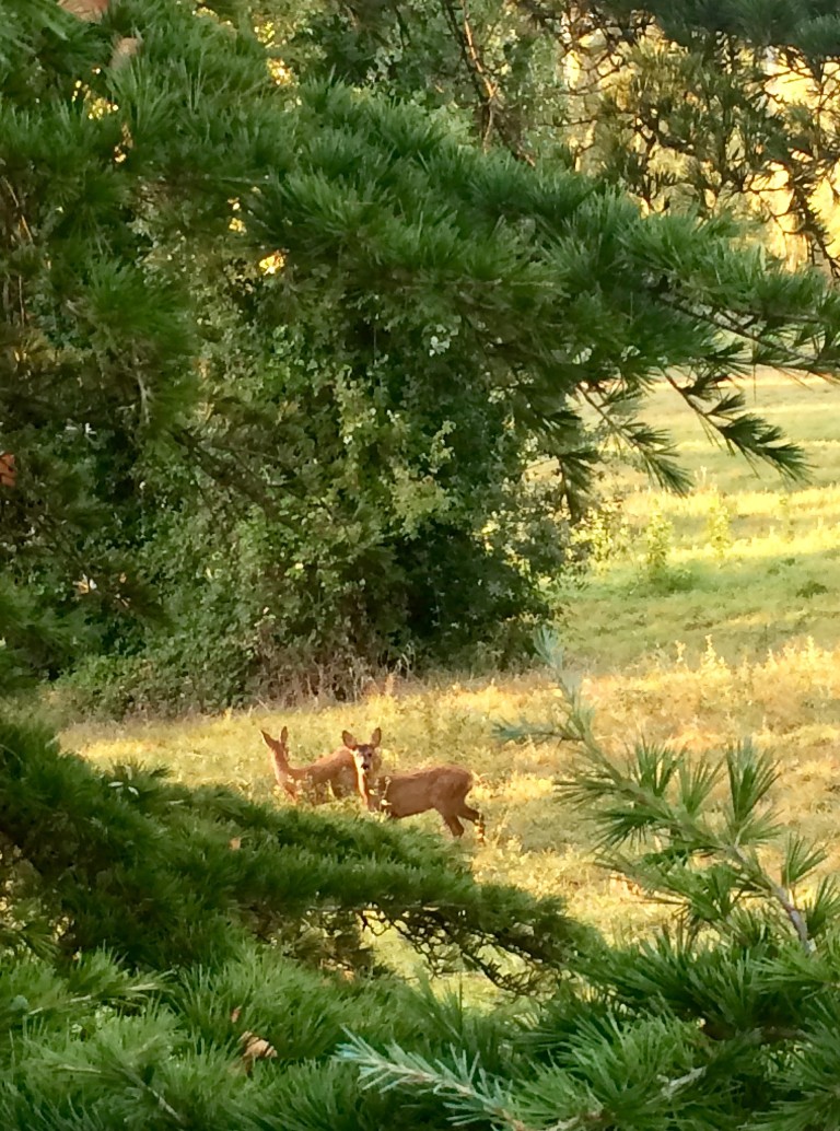 La bâtisse du pigeonnier de charme, Lédat - photo 23
