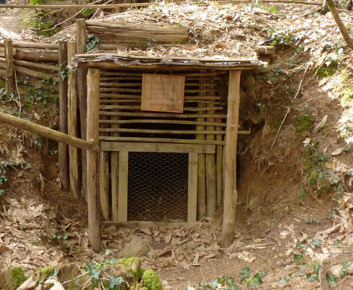 Caches des Maquisards de la forêt de Boubon, Cussac - photo 3