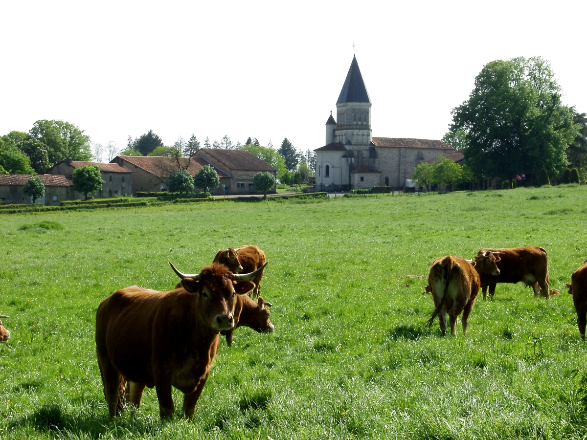 Eglise de Maisonnais sur Tardoire, Maisonnais-sur-Tardoire - photo 2