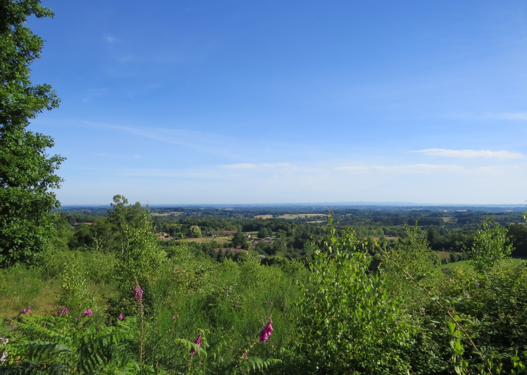 Point de vue aménagé - Forêt de Boubon, Cussac - photo 2
