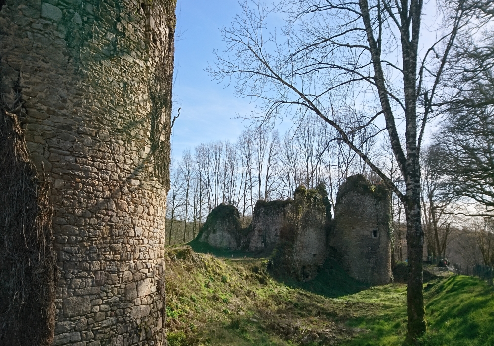 Château de Lavauguyon, Maisonnais-sur-Tardoire - photo 7