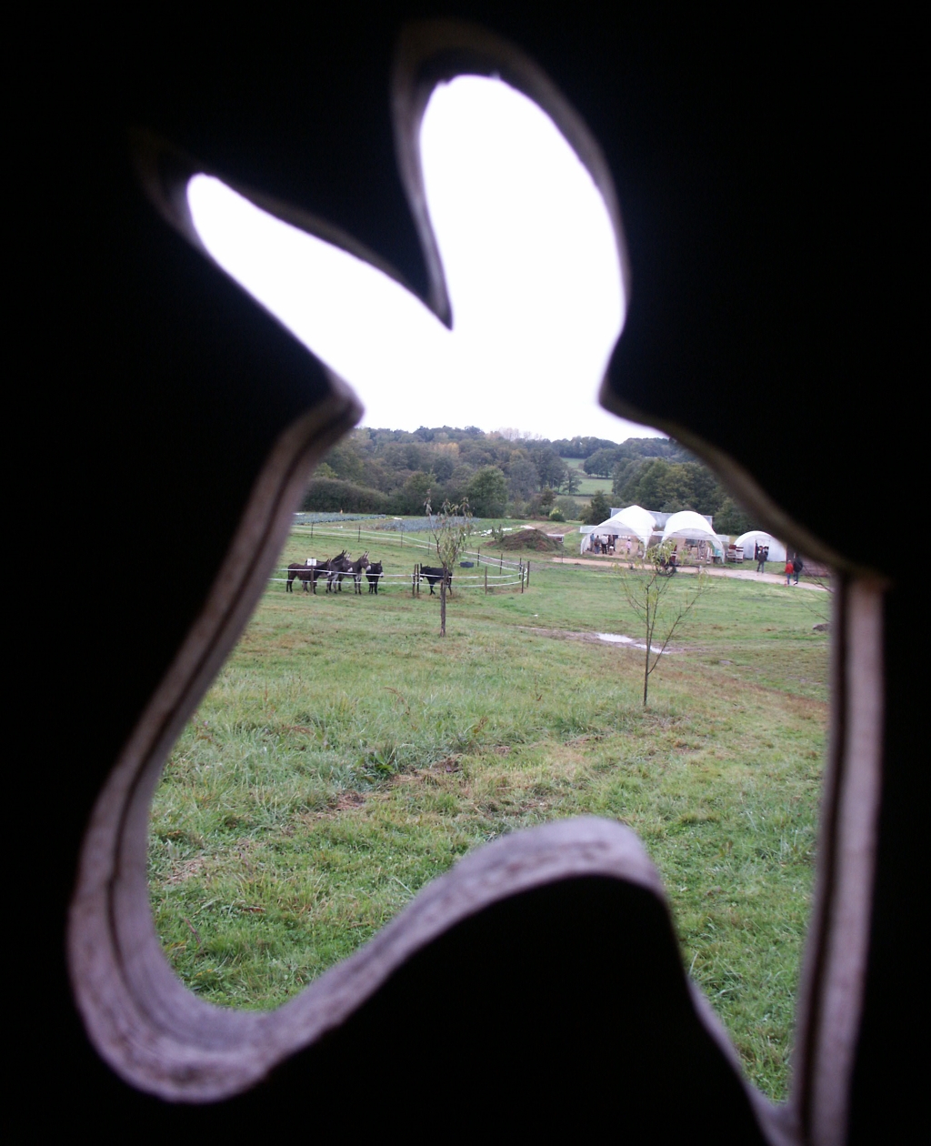 Cabane, caravane et emplacements à la ferme Ane et Carotte - photo 4