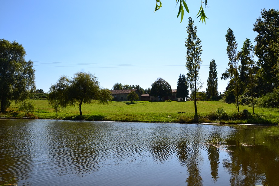 La Lègerie "La Châtaigne"
