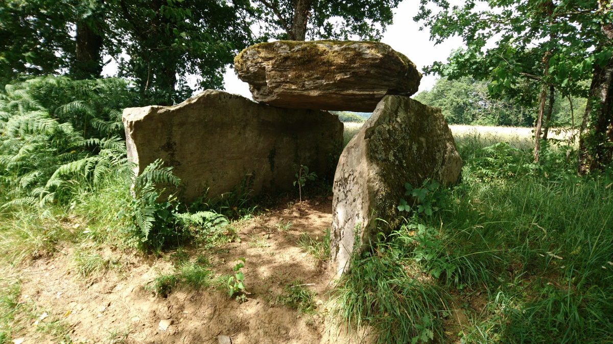Dolmen de la Tamanie, Oradour-sur-Vayres - photo 2