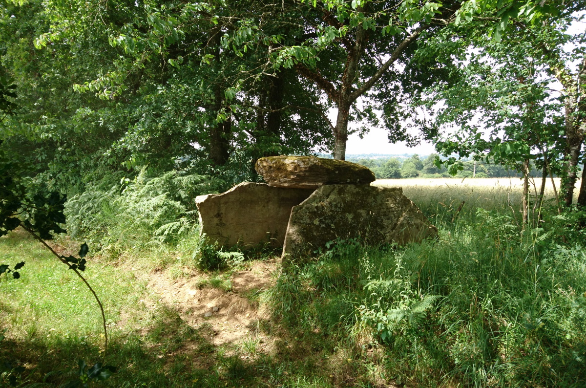 Dolmen de la Tamanie, Oradour-sur-Vayres