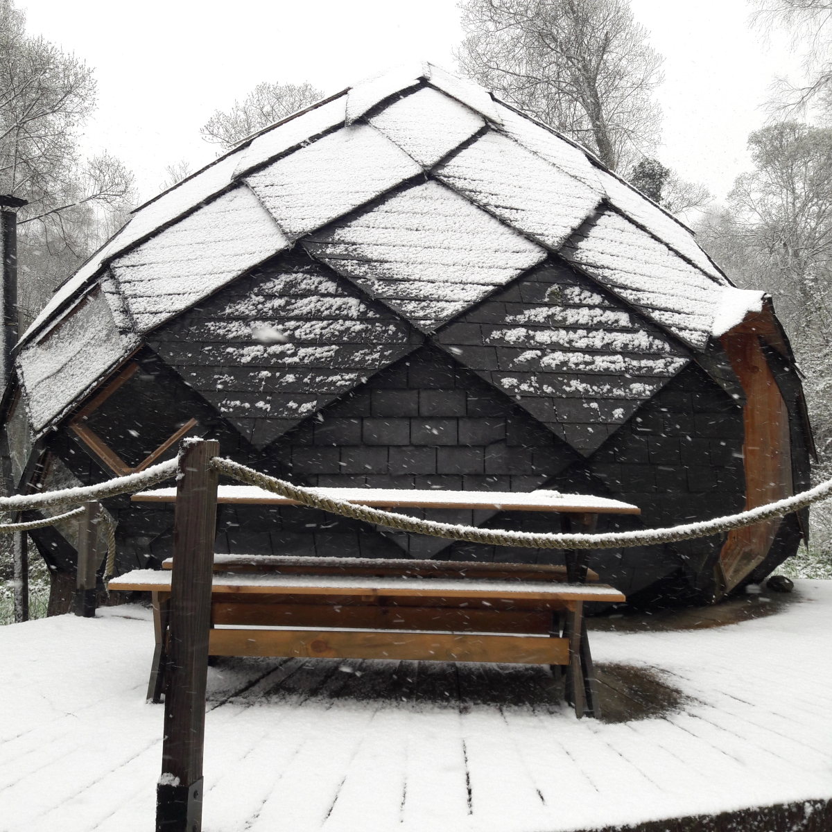 Aux insolites des Feuillardiers - Zome du grand étang, Cussac - photo 3