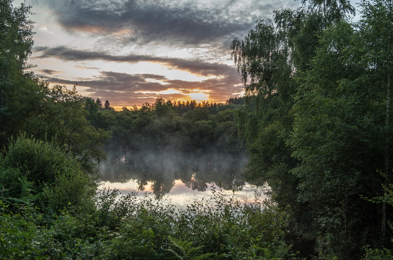 Aux insolites des Feuillardiers - Zome du grand étang, Cussac