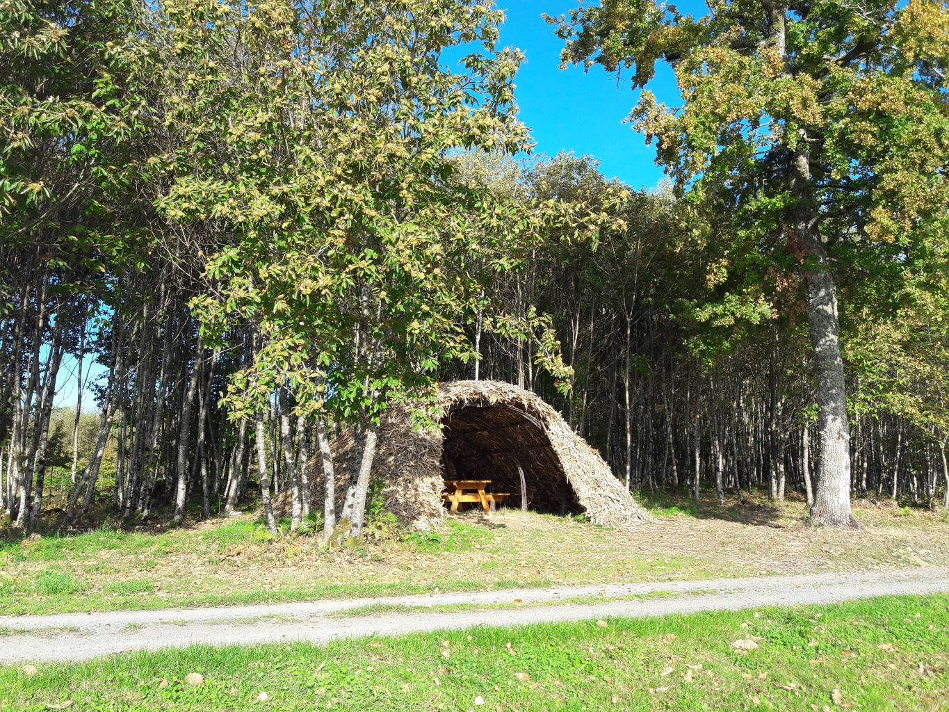 Étang de Masselièvre, La Chapelle-Montbrandeix - photo 2