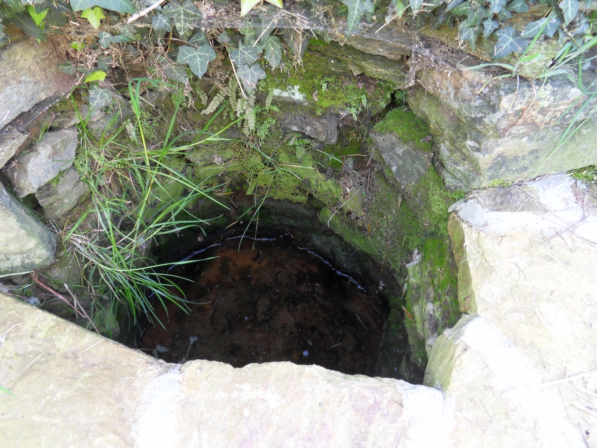 Fontaines Saint-Pierre et Saint-Paul, Champagnac-la-Rivière - photo 4