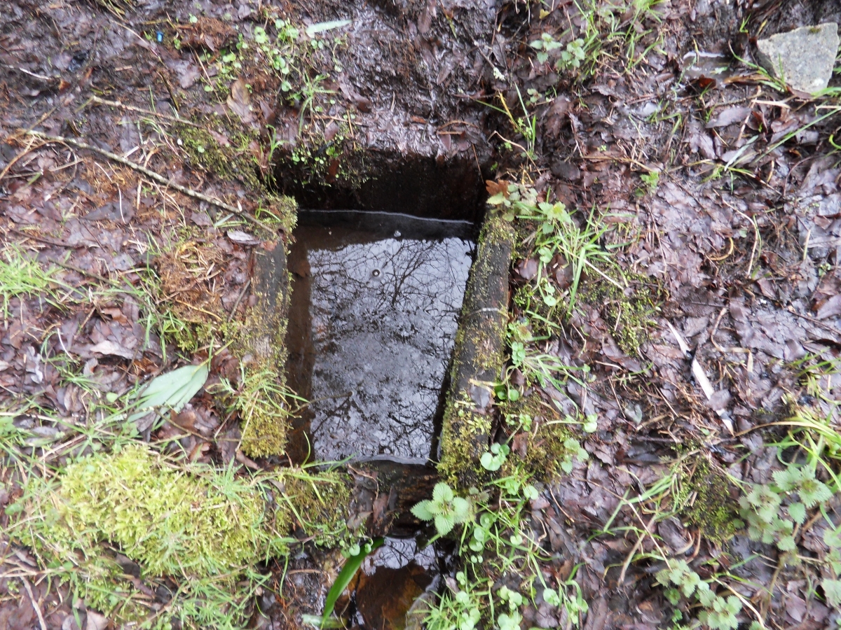 Fontaine Saint Roch de Champagnac la Rivière