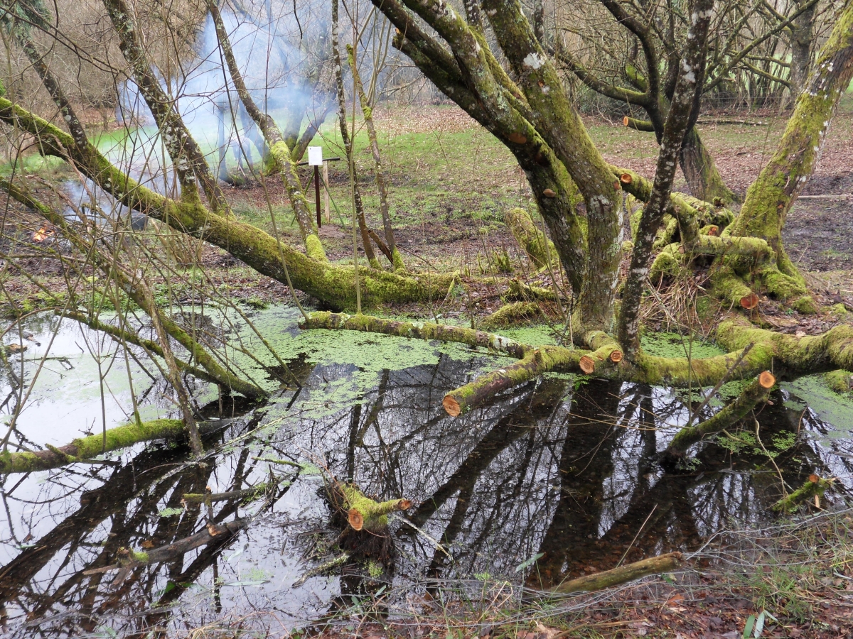 Fontaine Saint Roch de Champagnac la Rivière, Champagnac-la-Rivière