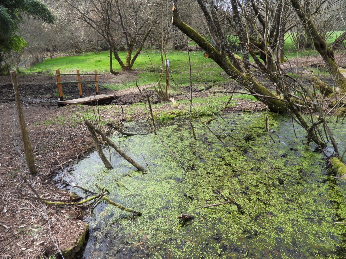 Fontaine Saint Roch de Champagnac la Rivière, Champagnac-la-Rivière - photo 4