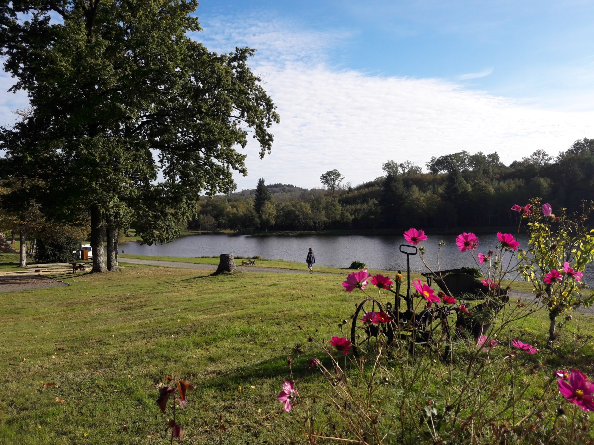 Cabane de feuillardier à Masselièvre, La Chapelle-Montbrandeix - photo 2