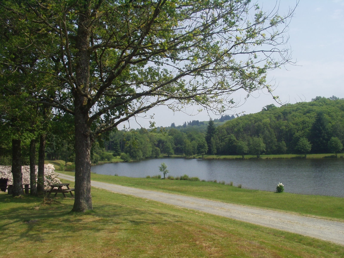 Cabane de feuillardier à Masselièvre, La Chapelle-Montbrandeix - photo 3