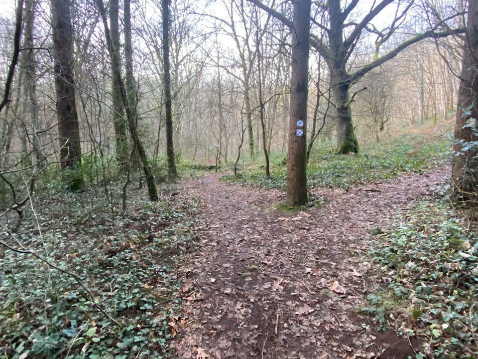 Circuit Uni'Vert Trail n°2 "de la paix", Saint-Auvent