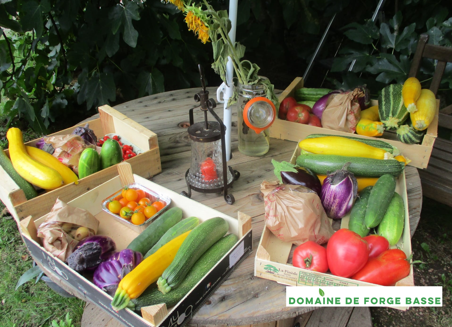 Potager de la Forge AB — photo 2
