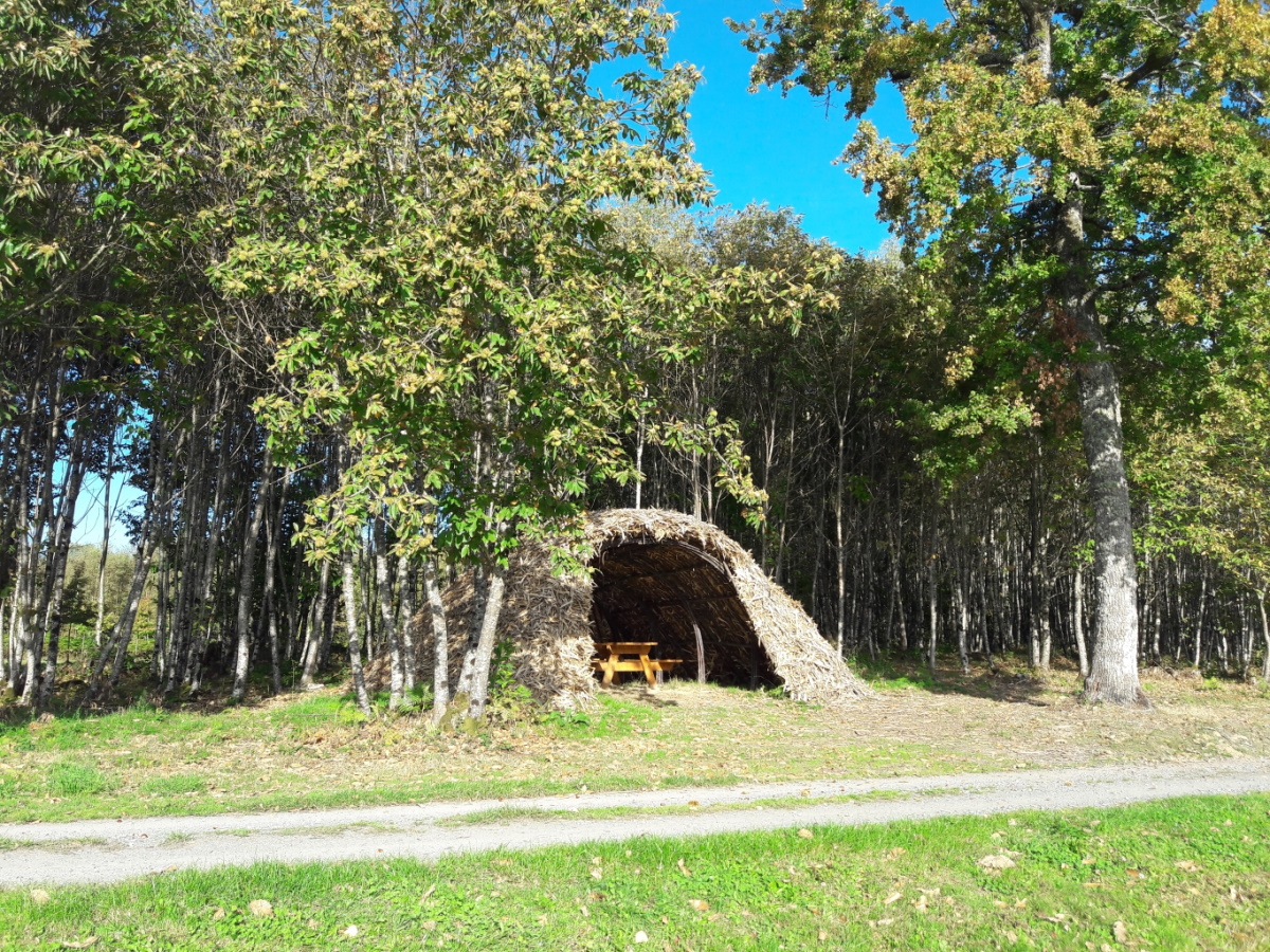 Aire de pique-nique Etang de Masselièvre - photo 2