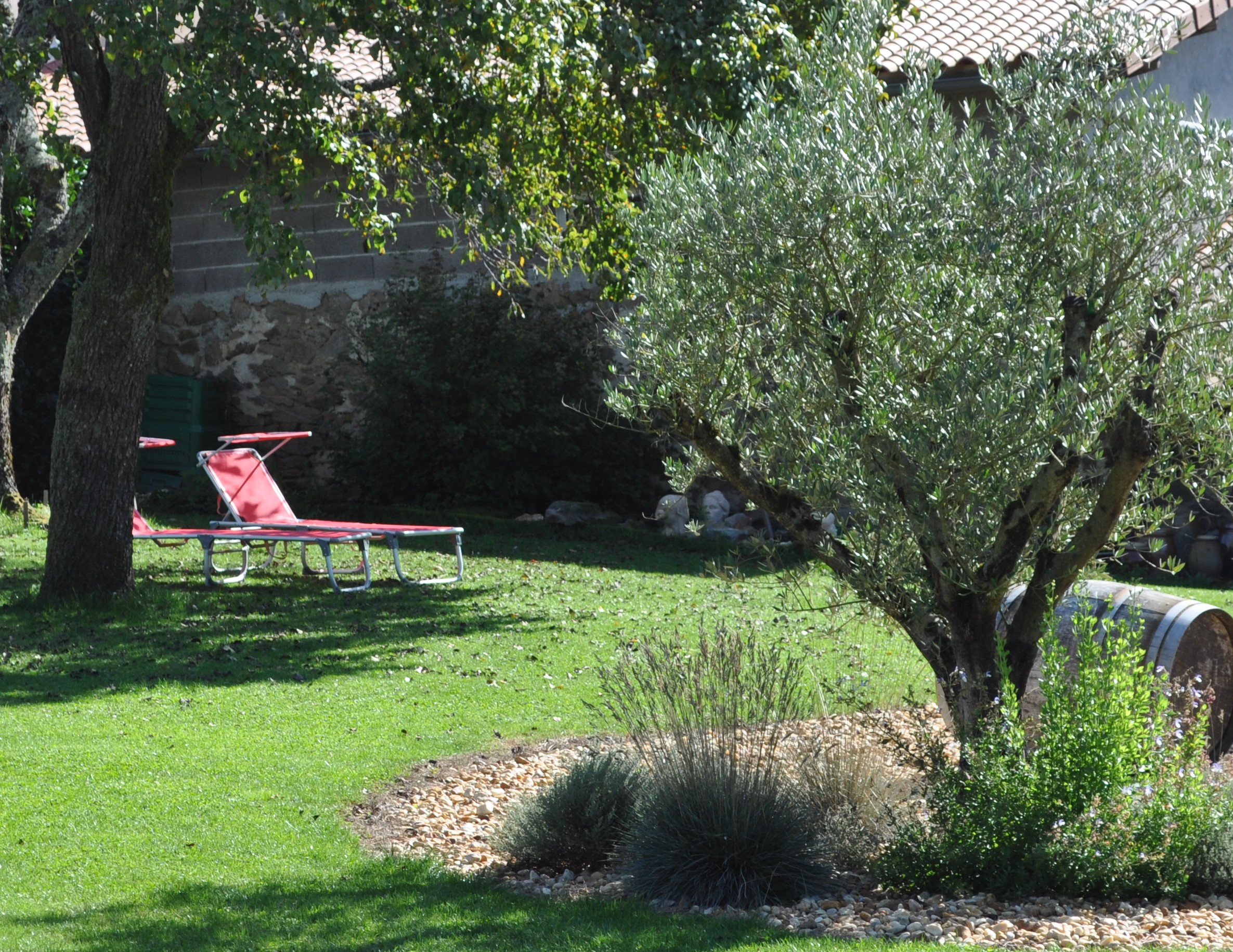 Les 3 oliviers - Appartement Picholine