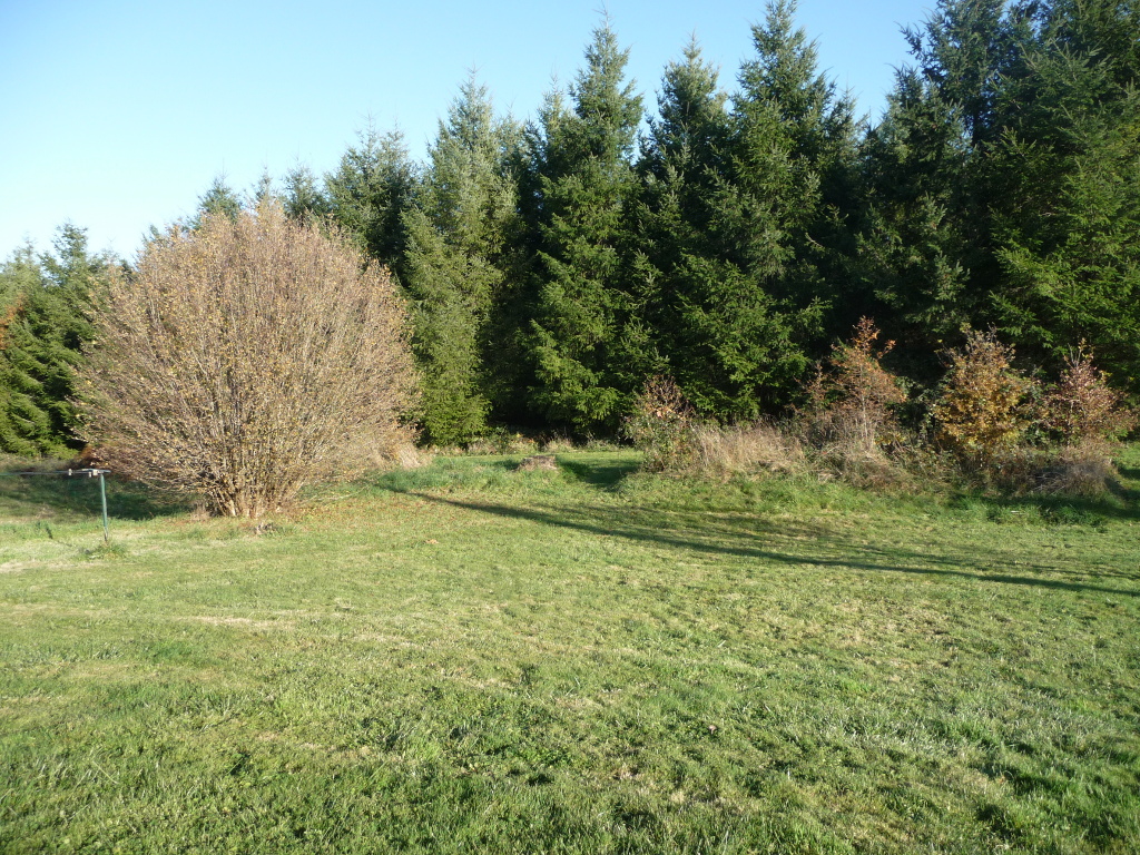 Gîte des Forces, Saint-Bazile - photo 5