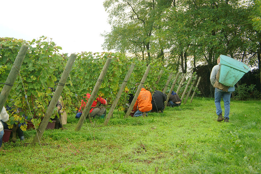 Les Terres Blanches - photo 3