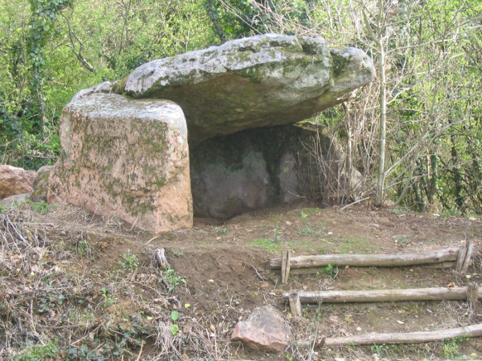 Dolmen de la Pierre Levée du Grand Gât, Argentonnay - photo 2