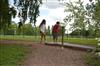 Mini golf de Saint-Martin de Sanzay — photo 3