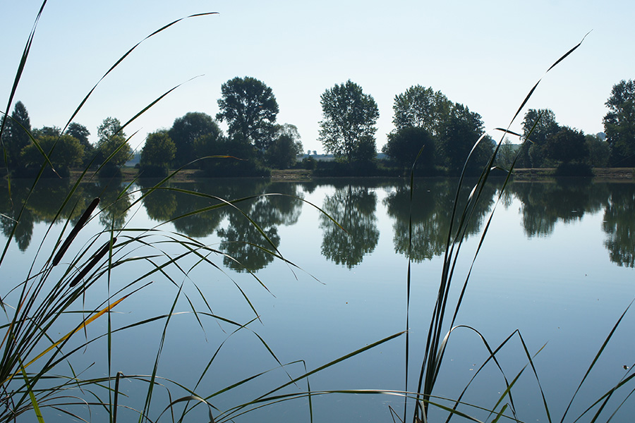 Plan d'eau La Ballastière, Saint-Martin-de-Sanzay - photo 3
