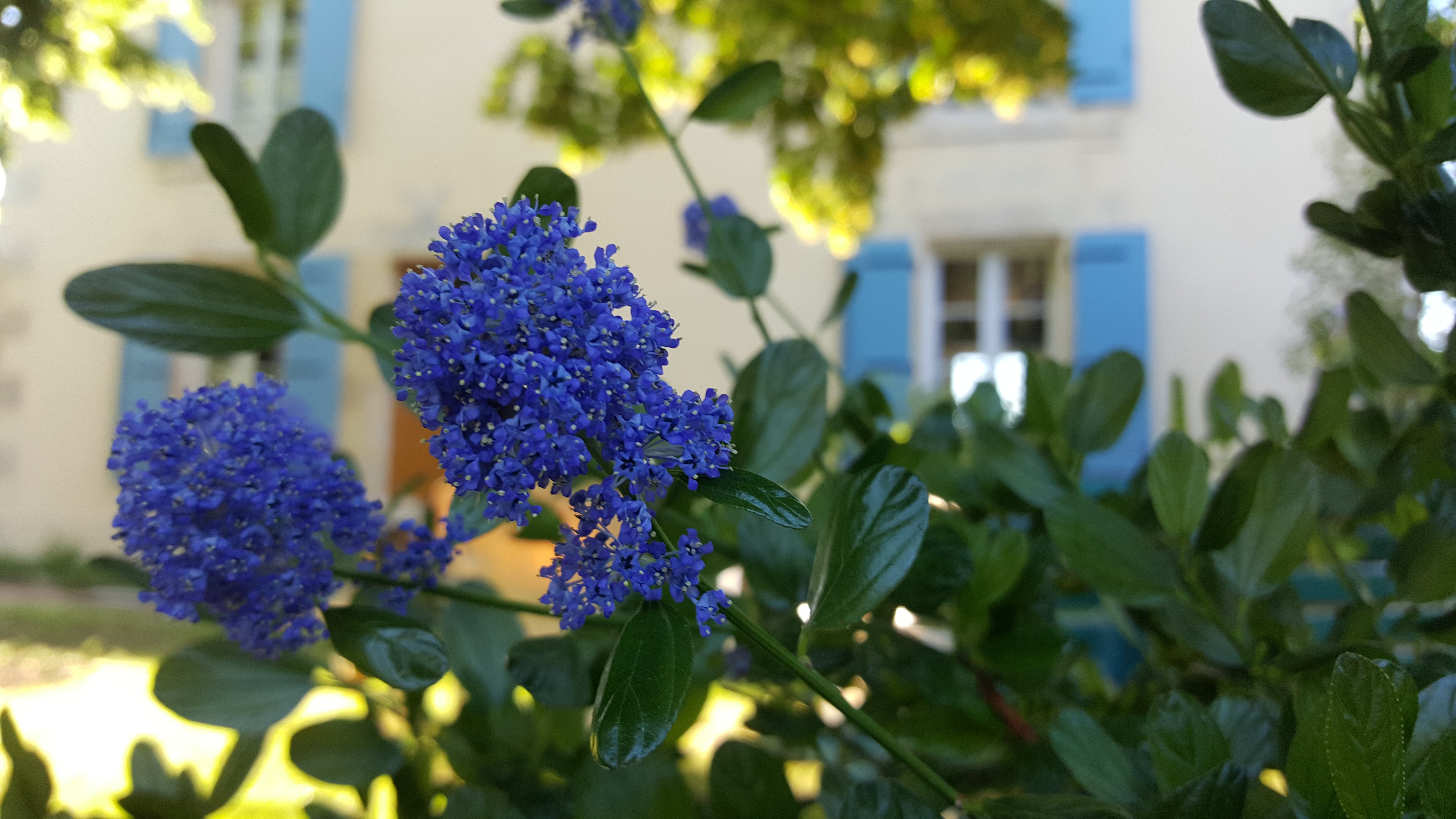 Maison Madame - chambre d'hôtes (n° 8390), Coulon - photo 12
