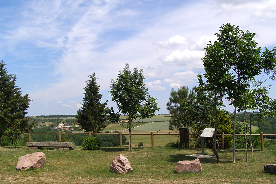 Cirque de Missé, Thouars - photo 3