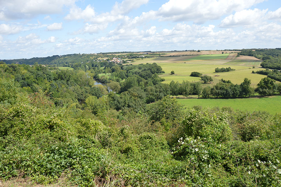 Cirque de Missé, Thouars - photo 4