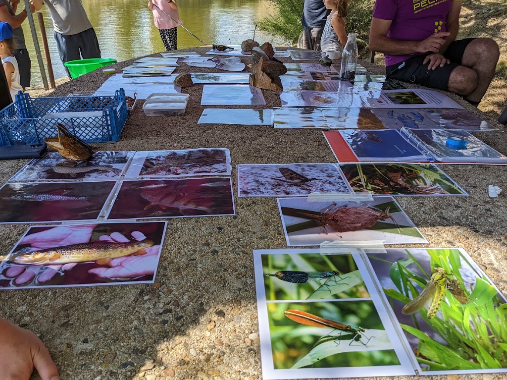 Etang de Chaux - photo 3