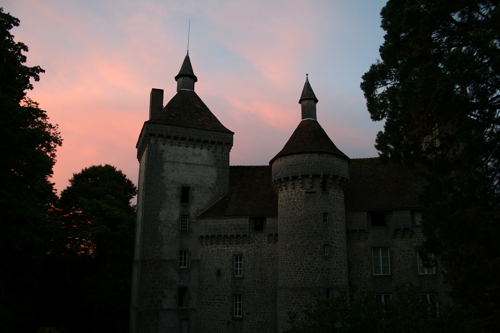 Château d'Etangsannes, Saint-Chabrais - photo 4