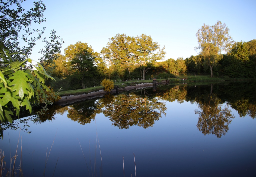 Location de Mireille PEYRONNAUD - photo 2