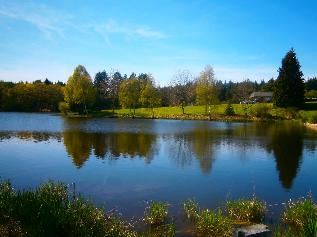 Location de Mireille PEYRONNAUD, Flayat - photo 13