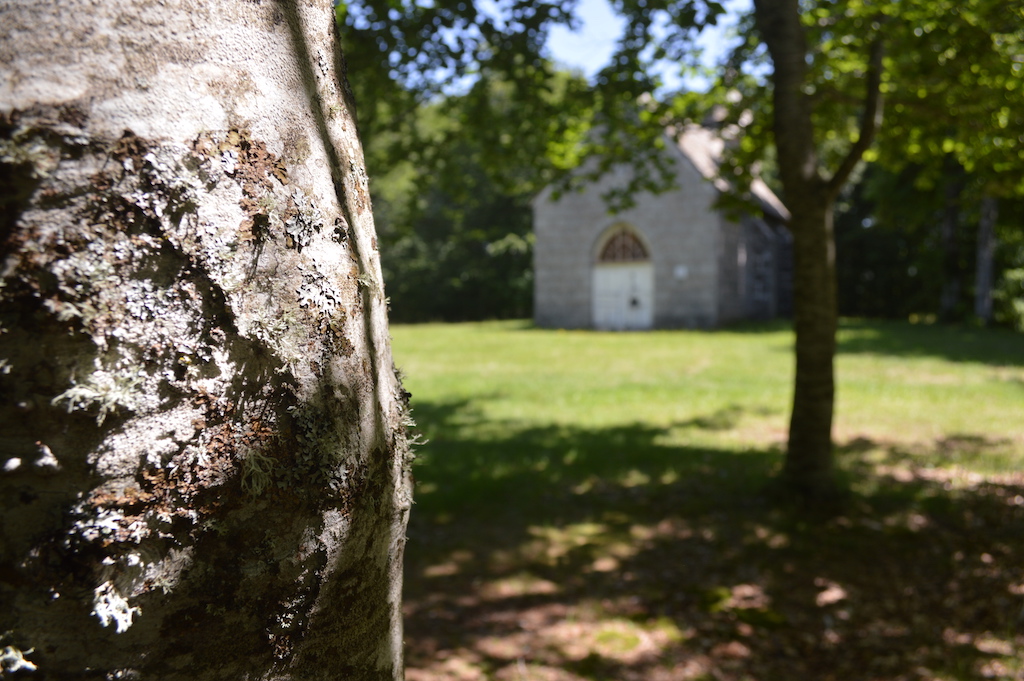 Chapelle Saint-Michel, Saint-Agnant-près-Crocq - photo 2